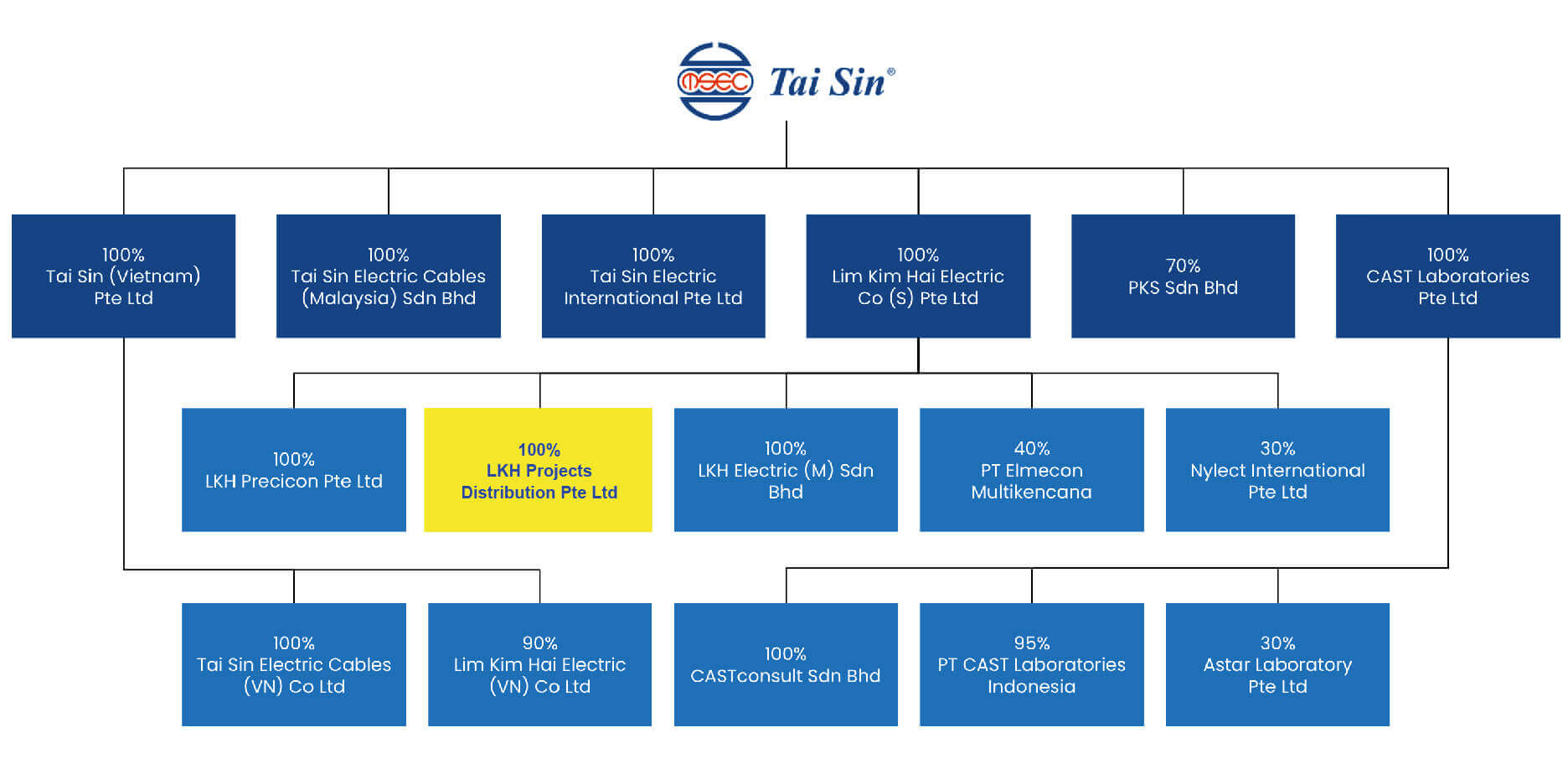 Tai Sin Corporate Structure